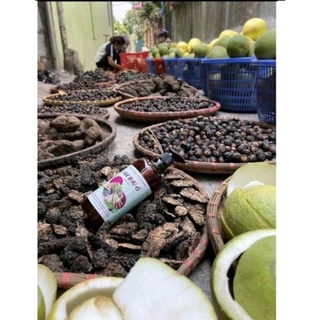 DẦU GỘI HÀ THỦ Ô CHAI 500ML