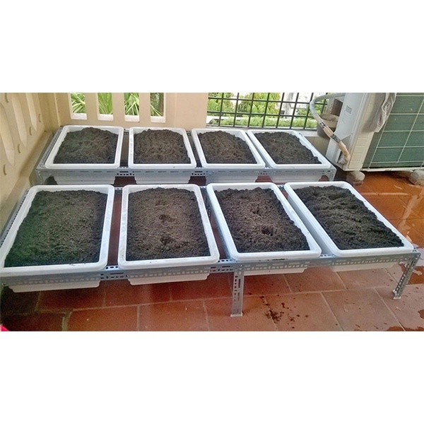 Khay Chậu Nhựa Trồng Rau Thông Minh, Trồng Hoa, Hình Chữ Nhật