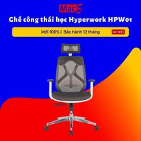 Ghế công thái học HyperWork HPW01