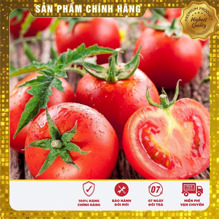 Hạt giống cà chua Aka quả to dễ trồng quanh năm - 0.2gr