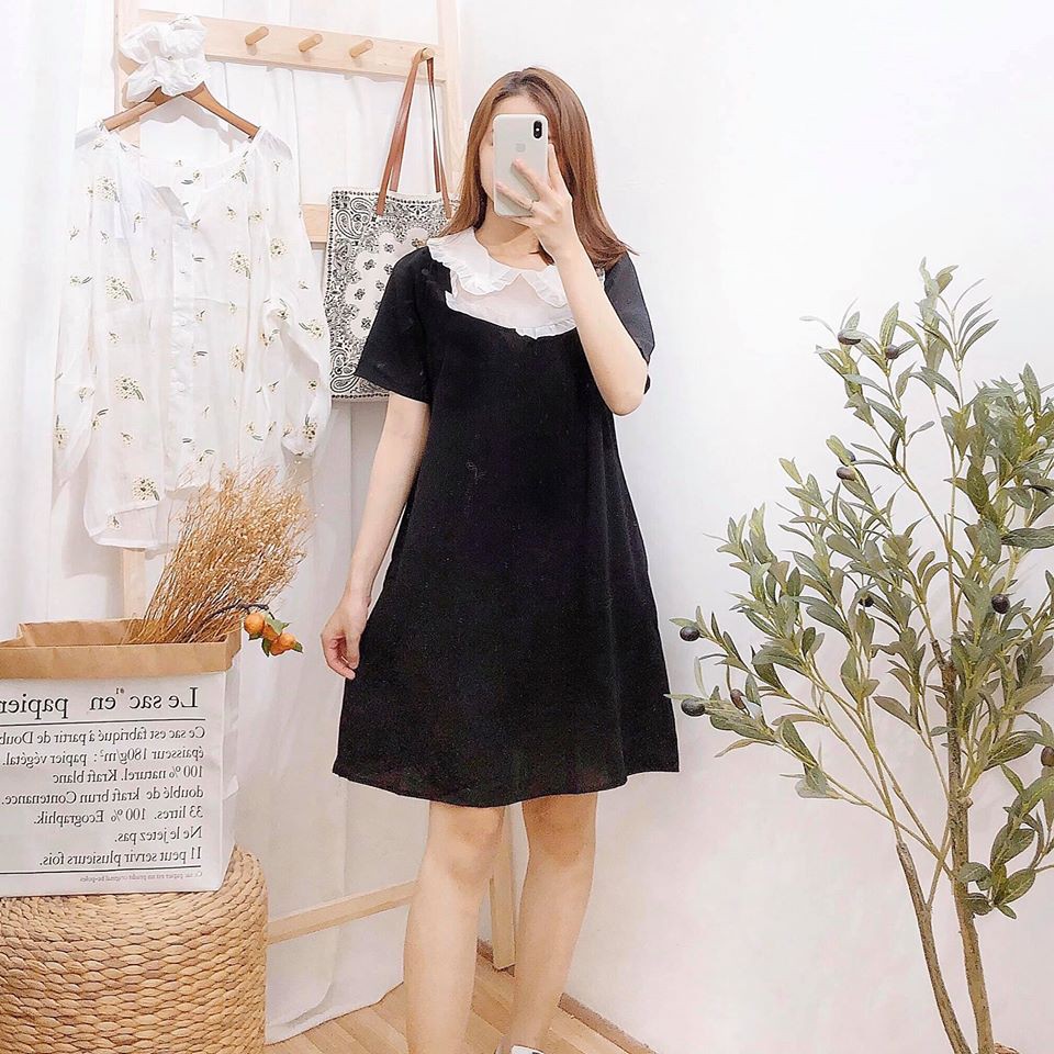 Đầm suông đen cổ bèo trắng 2 tầng
