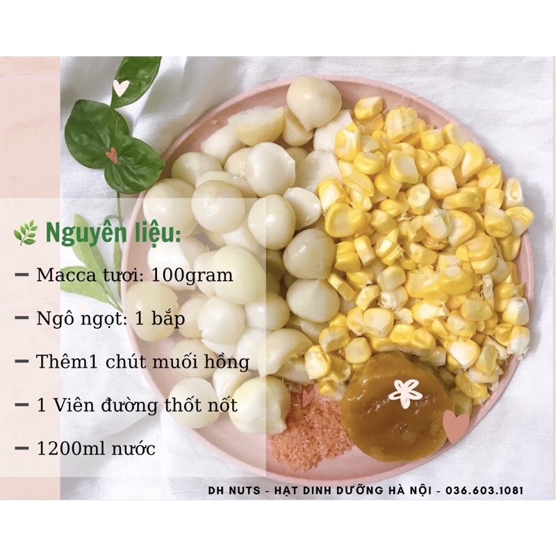 1KG NHÂN MACCA TƯƠI ĐAKLAK [SHIP HOẢ TỐC]