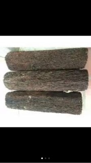 Dớn trụ trồng lan