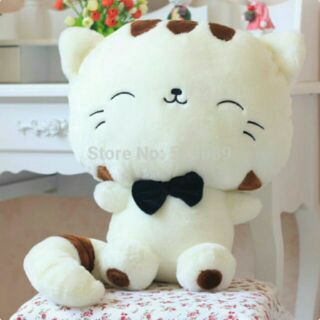 Mèo ú đuôi sọc  70cm