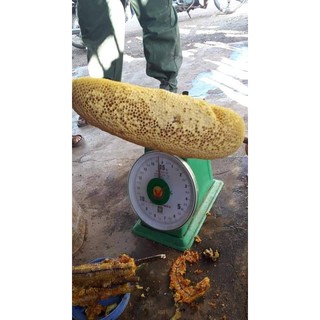 1 lít mật ong rừng Dak Lak