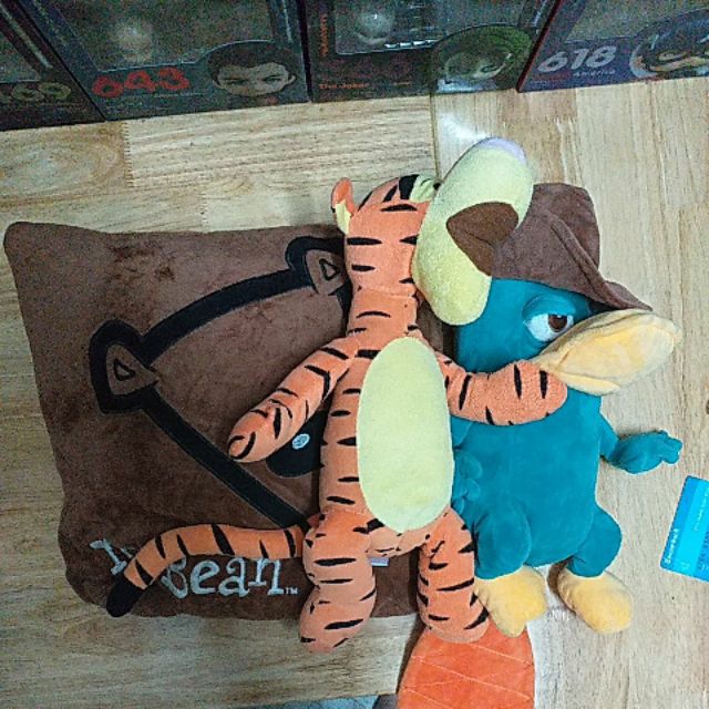 Gấu của anh Hiếu