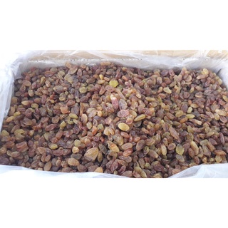 Nho nâu ấn độ malayar raisins 500gr