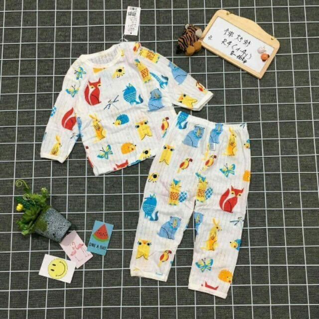 Combo 3 bộ cotton giấy