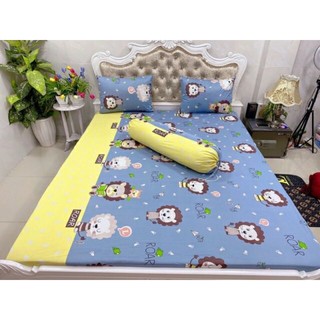 DRAP THUN HÀN QUỐC GIÁ HẤP DẪN