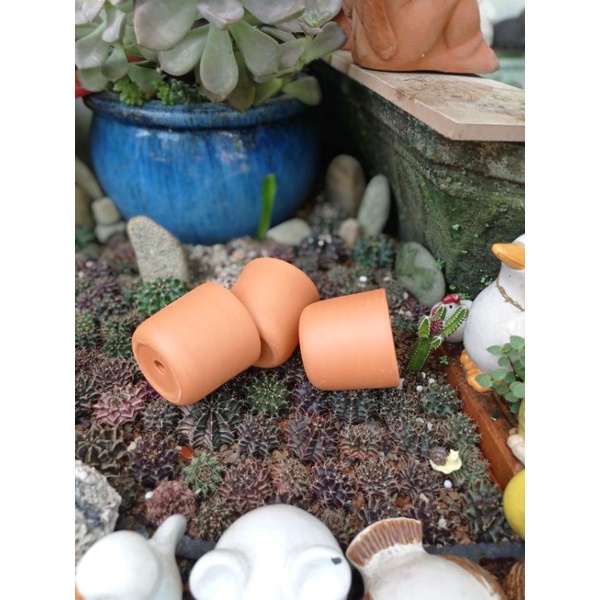 Chậu đất nung - chậu trụ đáy tròn miệng 7.5, cao 7