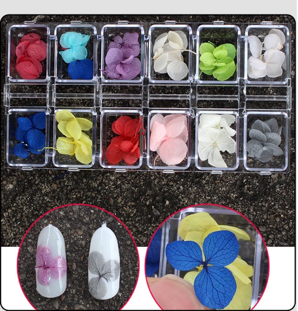 hoa khô trang trí nail