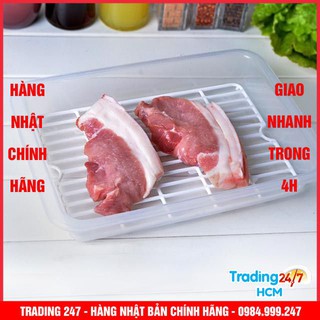 KHAY ÚP LY CHÉN INOMATA