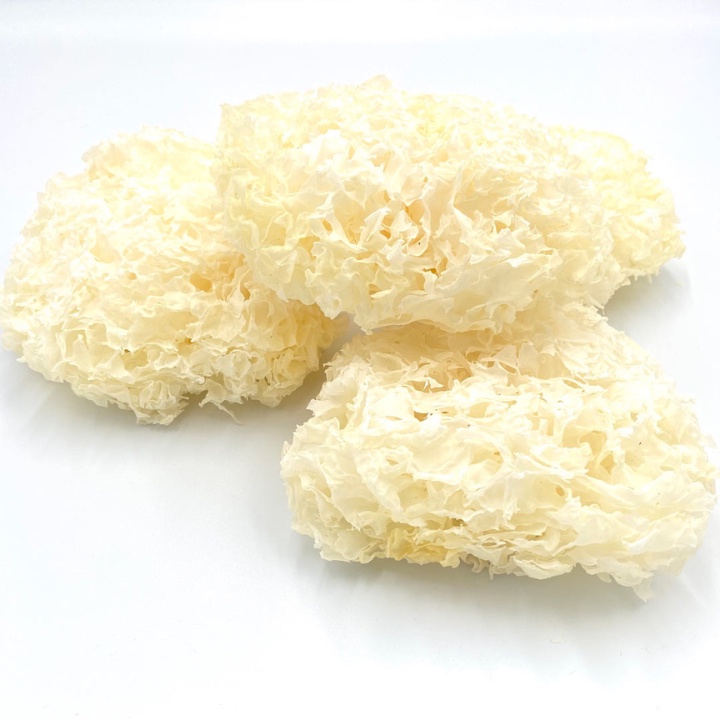 Nấm Tuyết Khô Hàng Chất Lượng Cao, Nấm Tuyết Ngon Tốt Cho Sức Khoẻ