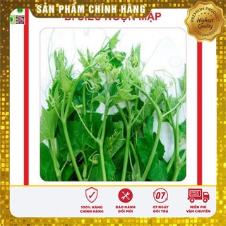 Hạt giống Bí Siêu Ngọn 20gram