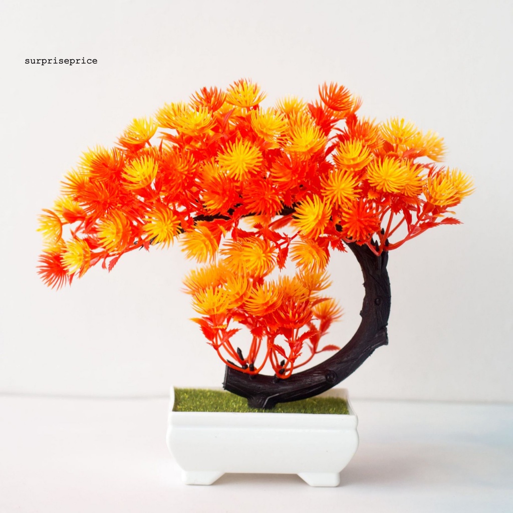 Chậu Cây Bonsai Giả Trang Trí