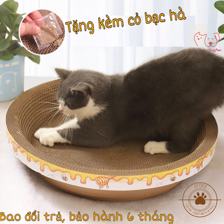 Cào móng kết hợp ổ nằm cho mèo đa dạng mẫu được yêu thích nhất - 4pets official