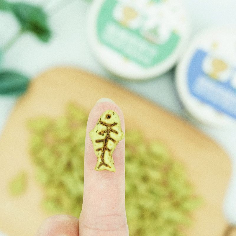 Bánh Thưởng Hình Cá Cho Cún Mèo - 40G