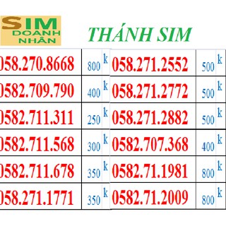H31.1 sim doanh nhân - thánh sim số đẹp