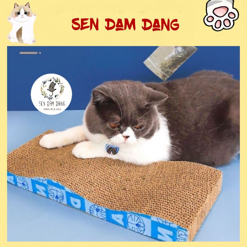 Bàn Cào Móng Cho Mèo