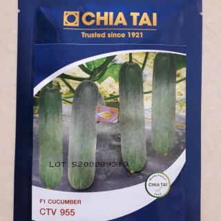 Hạt giống dưa chuột thái lan ctv 955 (10gram), tặng gói siêu ra hoa, siêu đậu quả