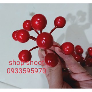 ĐÀO ĐÔNG DẠNG CHÙM tròn ( 10 CHÙM)