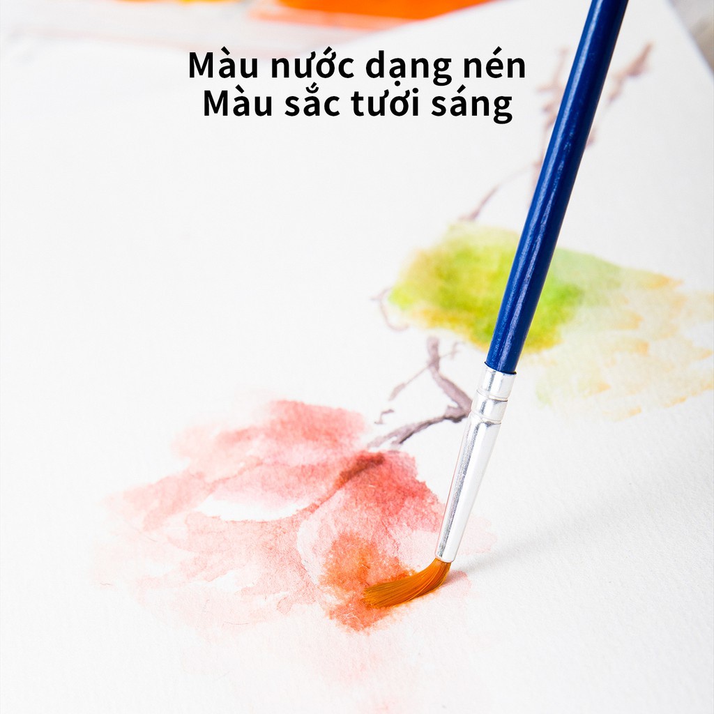 Màu nước dạng nén deli bộ 24 màu, Màu vẽ viên nén hạnh phúc kèm cọ vẽ