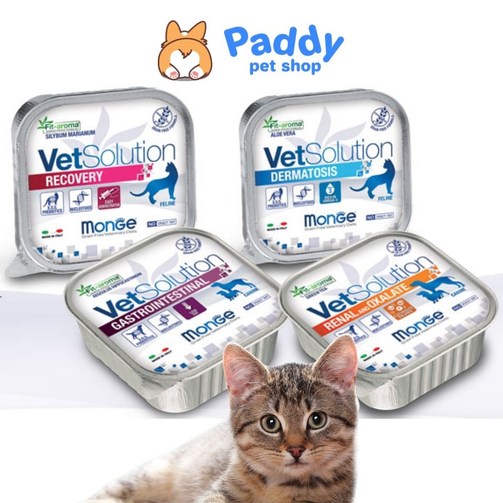 Pate Monge MÈO Vet Solution Chăm Sóc Sức Khỏe (100g)