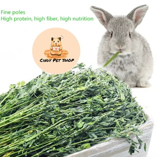 Cỏ Alfalfa mềm nguyên cành lá cho Thỏ, Bọ Ú mọi độ tuổi