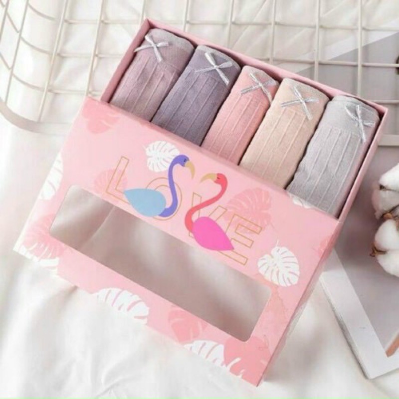 ♥️ Hàng Mới Về ♥️{ Combo Set 5 Cái} Quần lót nữ hộp thiên nga Chất cotton dệt kim co dãn 4 chiều Q0027