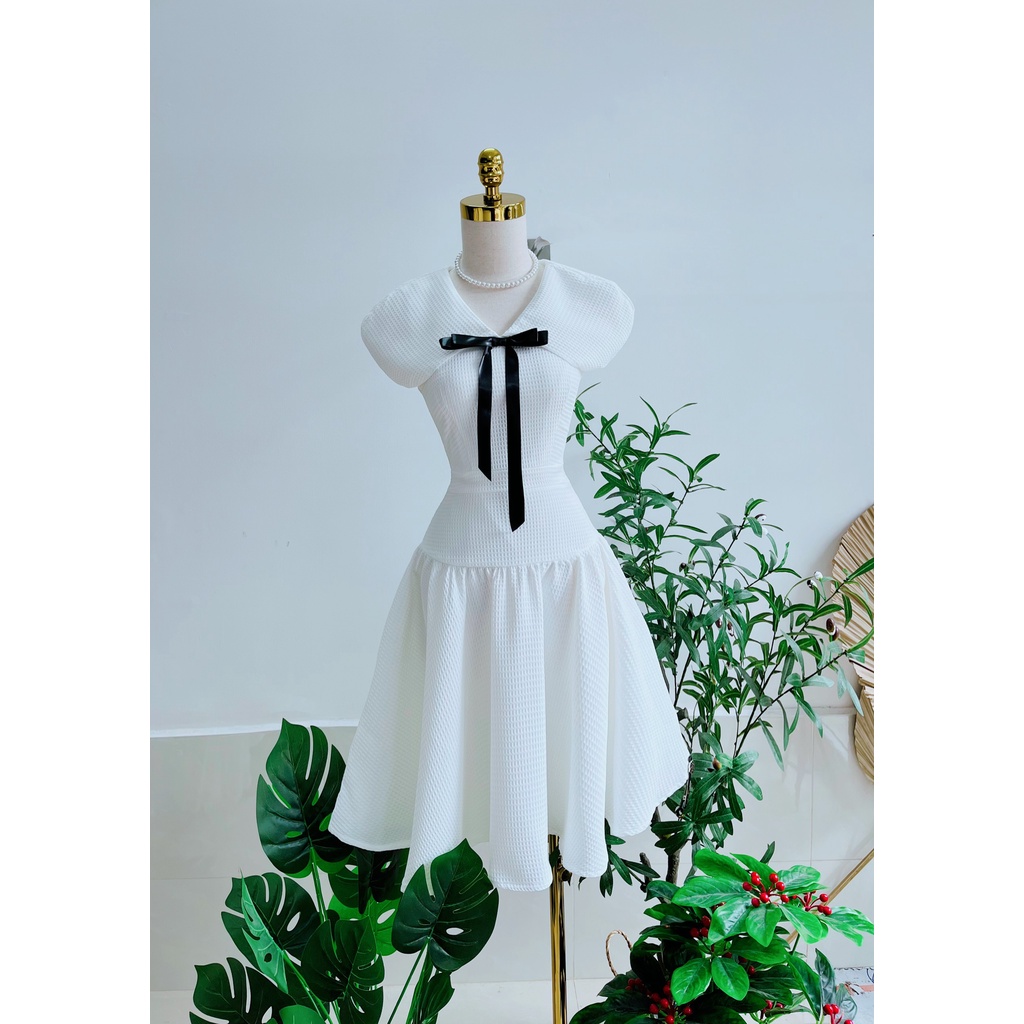 Rolly dress - đầm bèo chữ V bo eo dáng xòe
