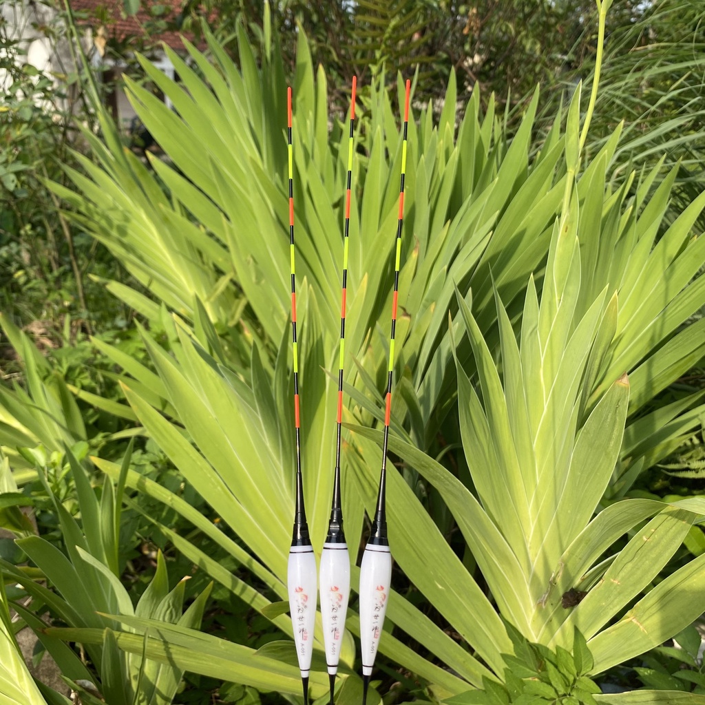 Phao câu đài ngày đêm, Phao điện câu đài Chân dài , Bầu dài , Tăm dài Chuyên Chép , Diếc , Rô