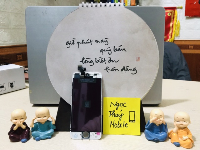 Màn thay thế cho 5 thường tặng kèm bộ sửa để tự thay màn | BigBuy360 - bigbuy360.vn