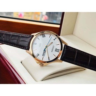 Đồng hồ nam Citizen BF2023
