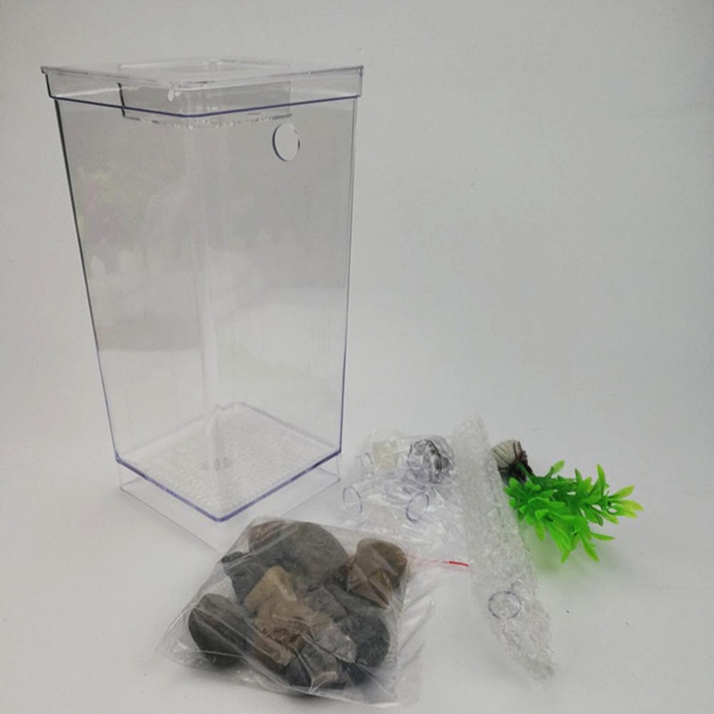 Hồ Cá, Bể Cá Thủy Sinh Tự Thay Nước Làm Sạch My Fun Fish