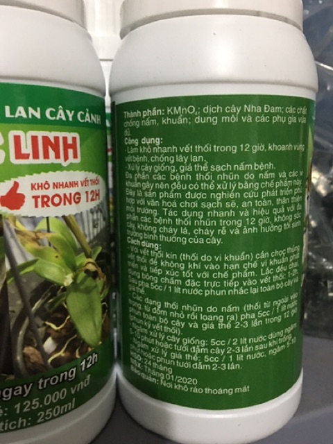 Chế phẩm Ngọc Linh thối nhũn 12h A8VIP chai 250ml