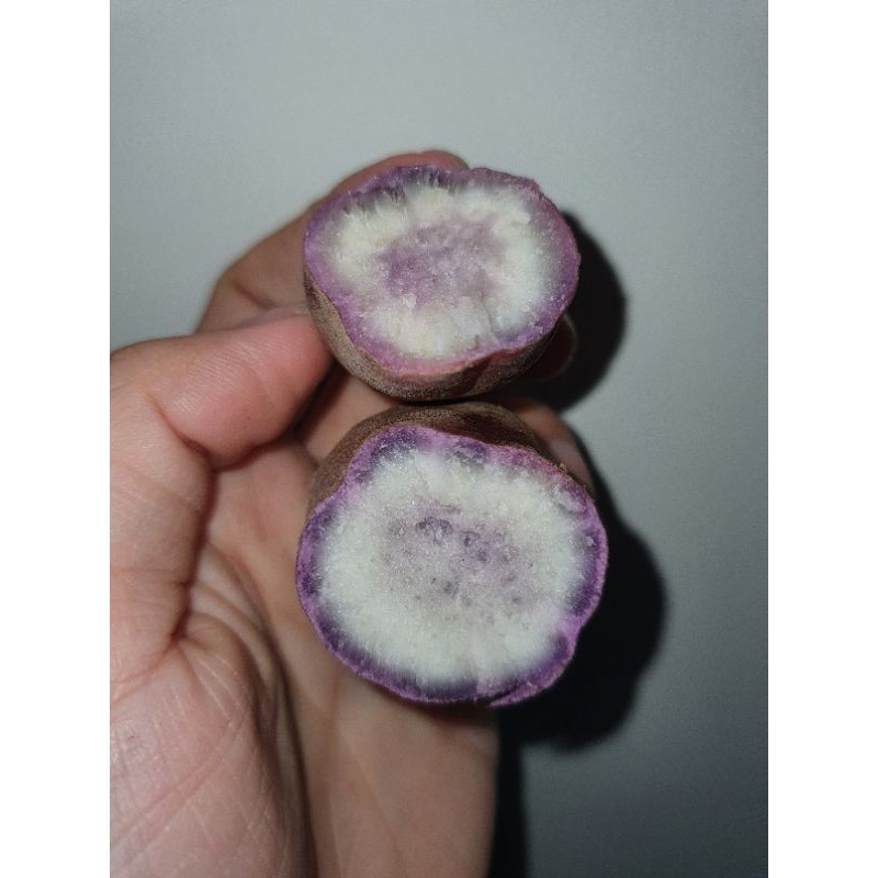 Combo 10kg _ Khoai Lang Dương Ngọc