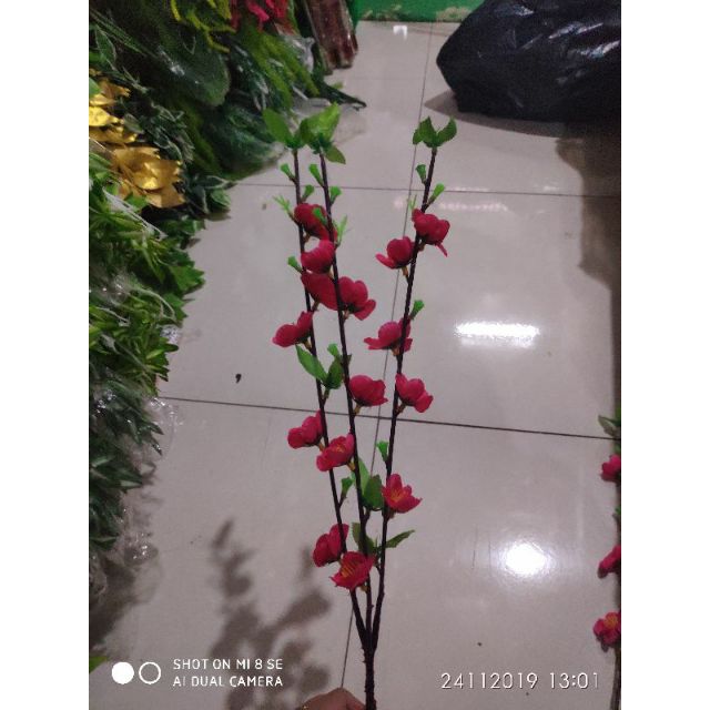 10 cành đào nụ loại 5 nhánh