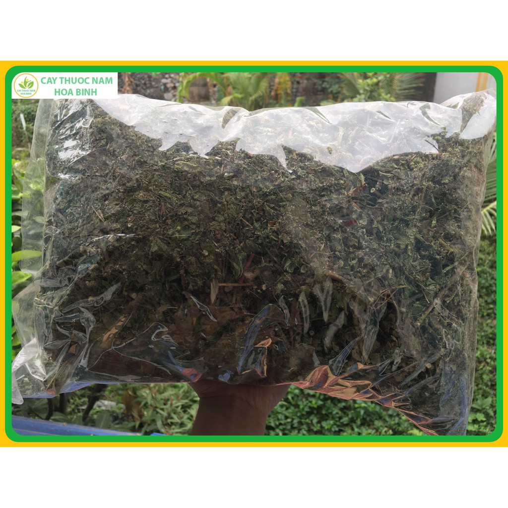 1kg cây hoa cứt lợn hoa tím/thân tím, cỏ hôi