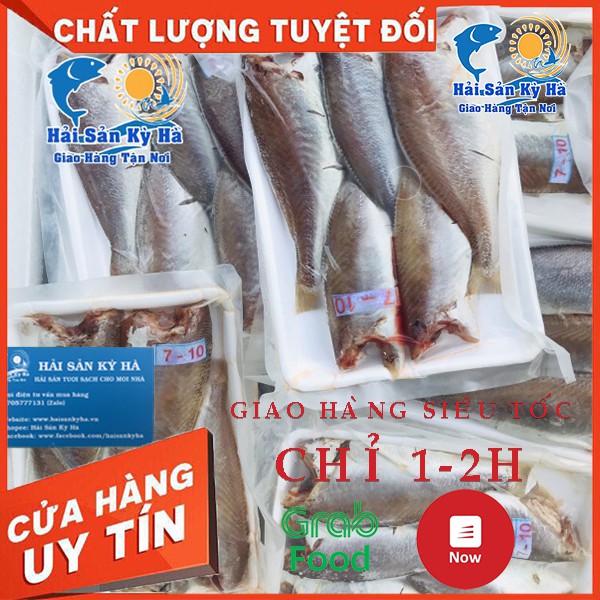 Giá Sỉ 1Kg Cá Đù nguyên con - Giá Sỉ Rẻ Nhất