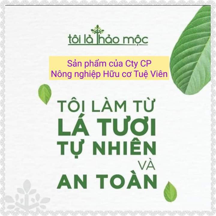 Nước Rửa Bát Hữu Cơ Lá Ổi - Tôi Là Thảo Mộc (Cal 3,68l) - Không hóa chất, không hại da tay, an toàn cho sức khỏe.