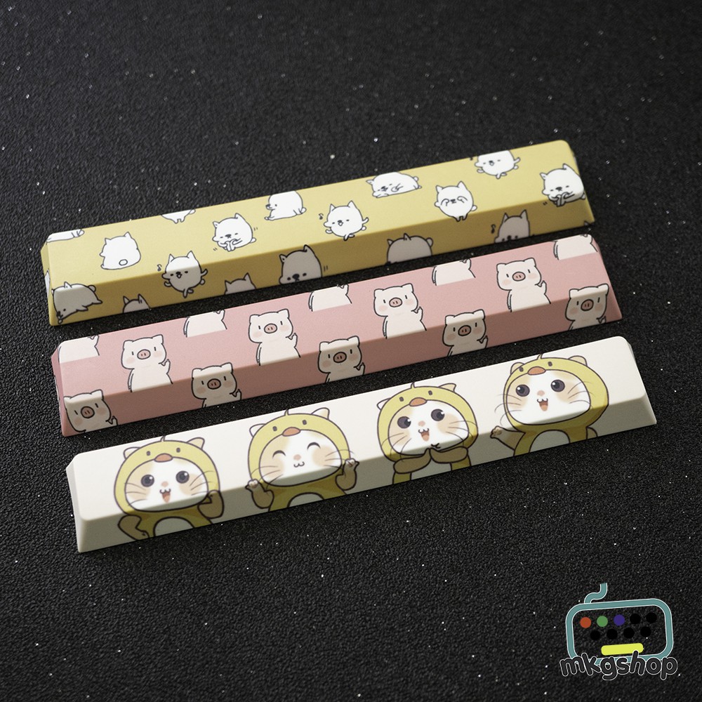 Spacebar 6.25u Filco, Leopold, IKBC