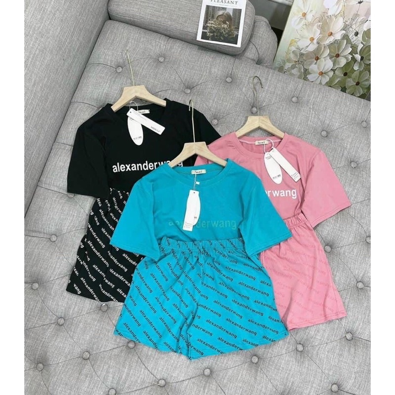 Bộ đồ nữ mặc nhà thể thao WANG ba màu basic siêu đẹp bộ đồ áo thun kèm quần short đùi thun mặc nhà