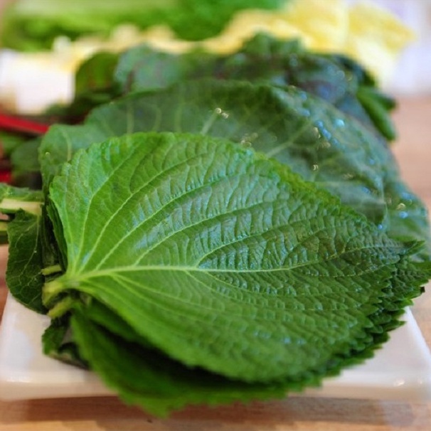 Hạt Giống Rau Thơm Mè Hàn Quốc 0.5gr