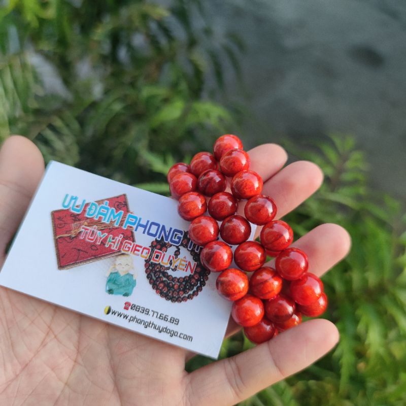 Vòng huyết long phong thủy, vòng tay may mắn phật giáo | BigBuy360 - bigbuy360.vn