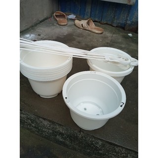 Chậu trắng tặng quai phi 17cm cao 12cm
