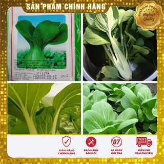 Hạt Giống Cải Chíp Cao Sản(20gr)