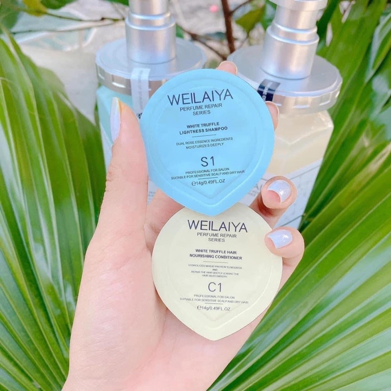 SET TEST MINI DẦU GỘI NẤM TRUFFLE WEILEIYA