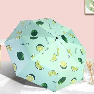 PVN20249 Dù Ô Trái Cây Ulzzang Korea - Ô Dù Họa Tiết Hoa Quả Hàn Quốc T2