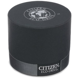 Đồng hồ Citizen Men s AO9000 06B