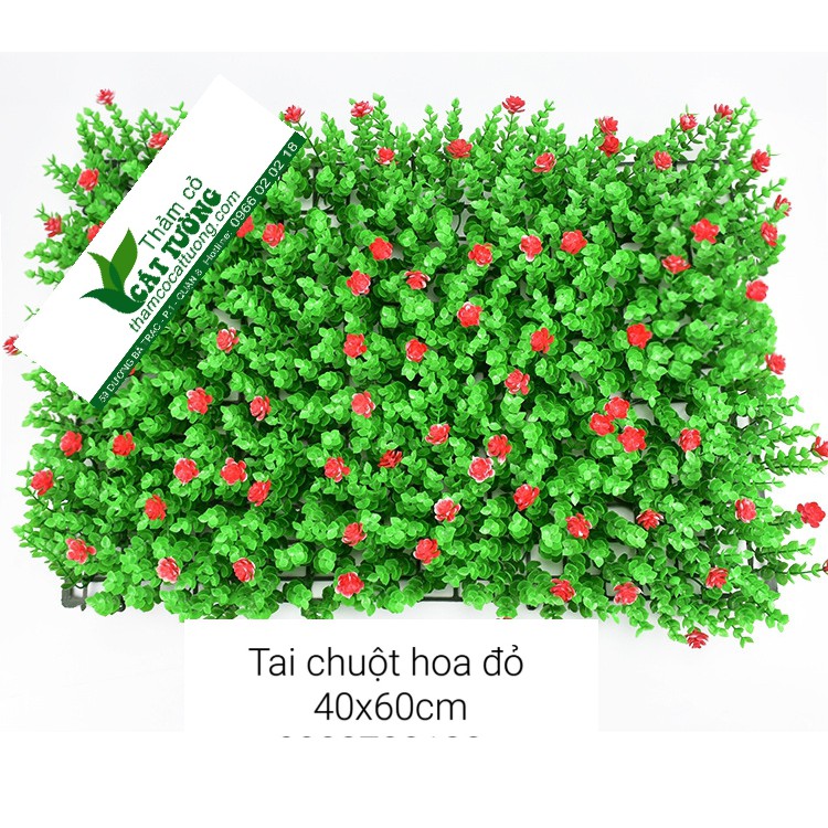 CỎ NHỰA TREO TƯỜNG, TRANG TRÍ TƯỜNG -CỎ TAI CHUỘT NỞ HOA KÍCH THƯỚC 40X60CM